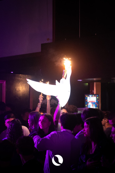 17.05-Pala-Club-60_-di-82